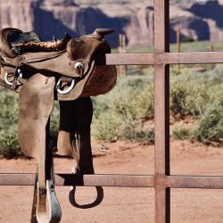 Erlebnistag rund ums Pferd „Wilder Westen“ für Kinder – jetzt anmelden